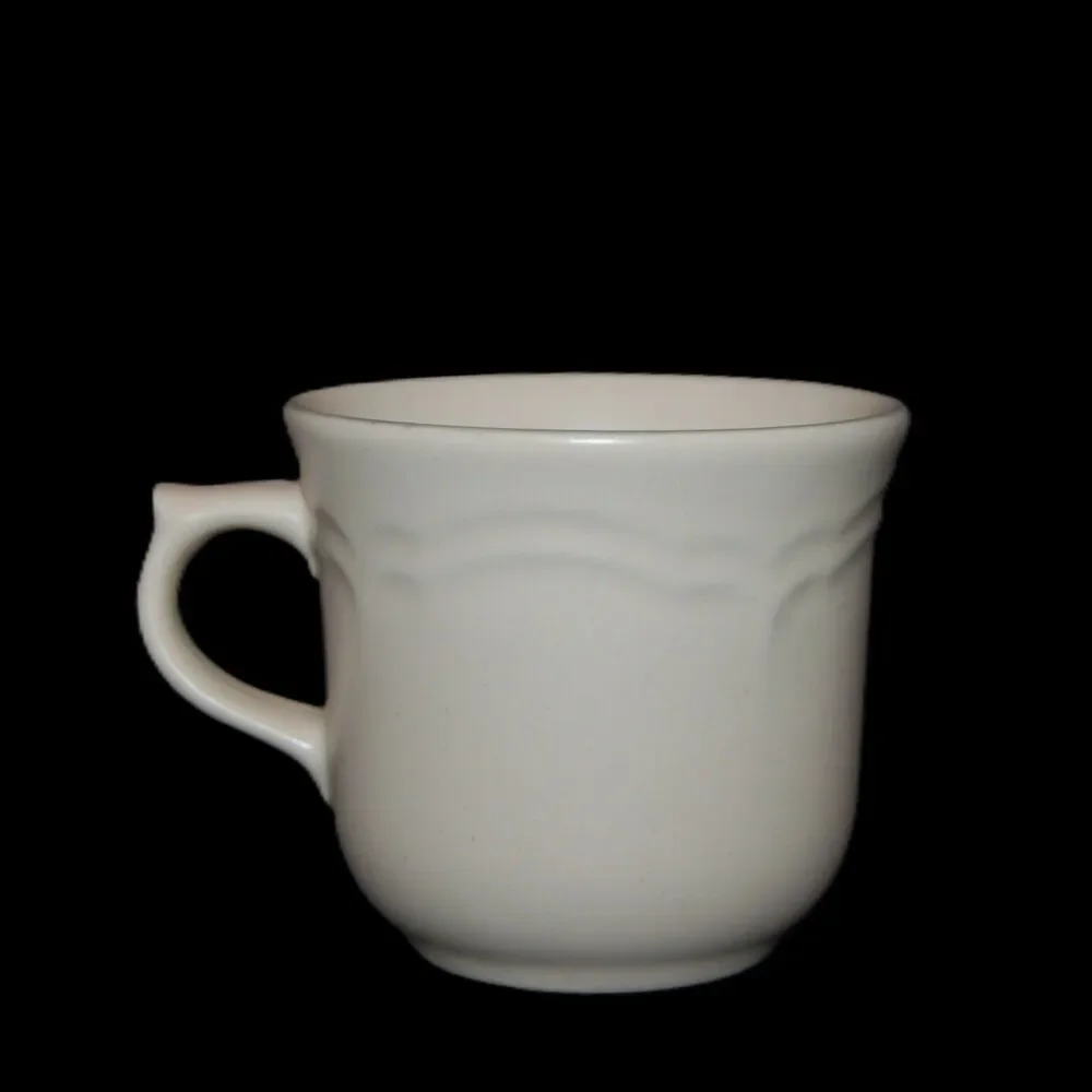 Vintage PFALTZGRAFF USA REMEMBRANCE Flowers Coffee Tea Mug Cup 3.25